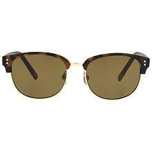 Foster Grant Delaney Sunglasses Tortoise | Walgreens