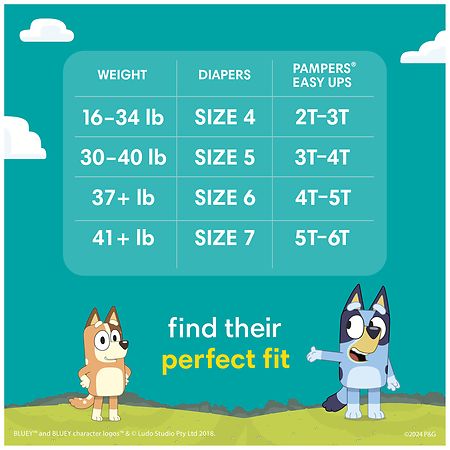 Pampers Feel 'N Learn Training Pants (3t-4t), Delivery Near You