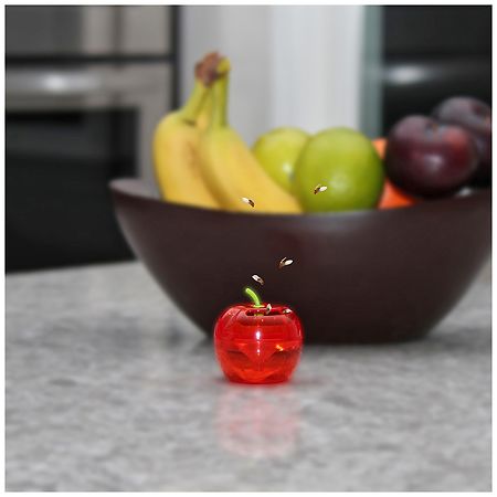 Raid® Indoor Fruit Fly Trap, with Food-Based Lure, 2-pk