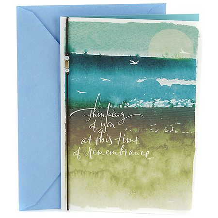 UPC 720473873795 product image for Hallmark Sympathy Card (Seascape with Birds) - 1.0 ea | upcitemdb.com