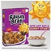 Raisin Bran Breakfast Cereal Original-7