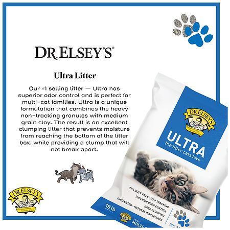 urinary tract cat food wet Purina Pro Plan Focus Urinary Tract Health Salmon Recipe Canned Cat Fo   Petsense