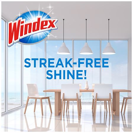  Windex 70232 Original Windex� Glass & Surface Wipes 28  Count : Health & Household