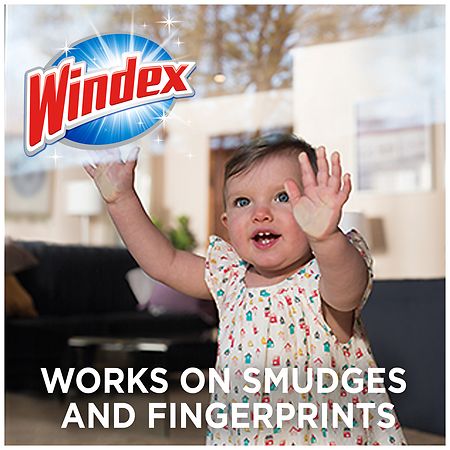Windex 2-Count Wipes Glass Cleaner at