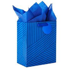 Hallmark Gift Bag With Tissue Paper, Blue Stripes Medium | Walgreens