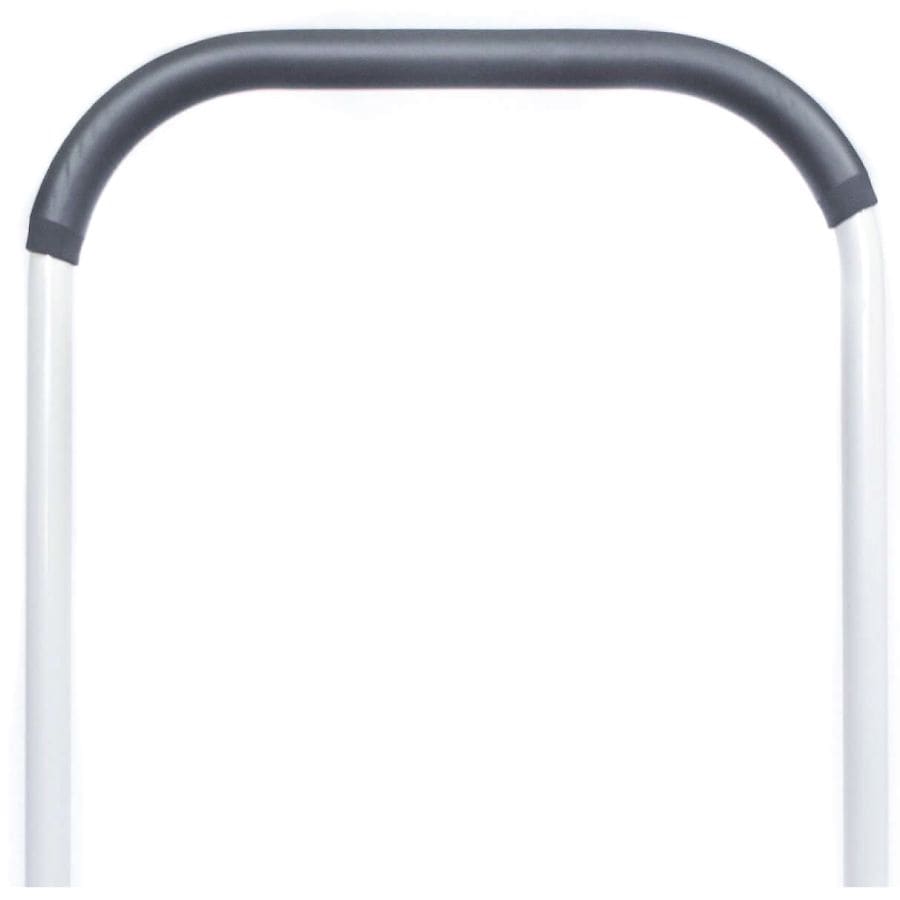 step2health Tall Grab Bar for Your Step2bed White | Walgreens