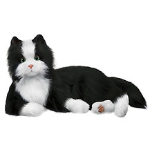 Joy for All Companion Pets Tuxedo Cat Black and White | Walgreens