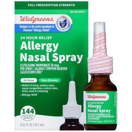 Walgreens 24 Hour Relief Allergy Nasal Spray
