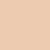 Makeup Revolution Super Dewy Tinted Moisturizer, Mocha