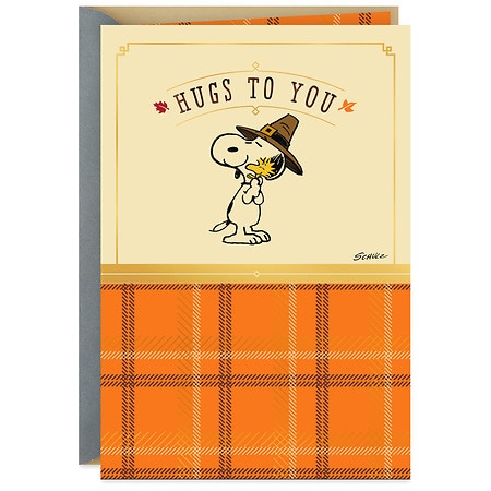 Hallmark Thanksgiving Card (Peanuts Snoopy Hugs to You) (S9)