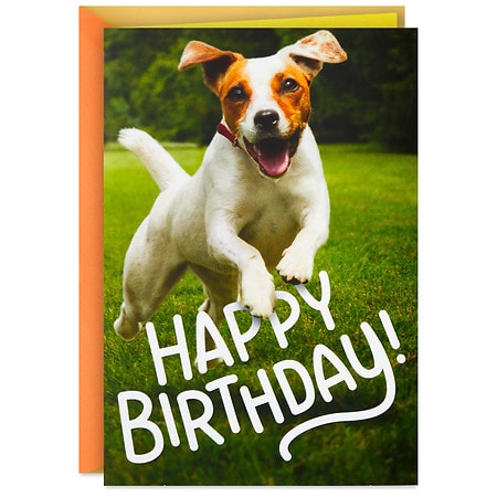 happy birthday puppy card
