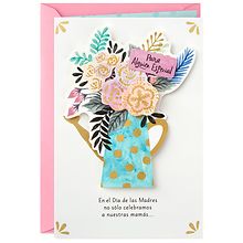 Hallmark Vida Spanish Mother's Day Card, For Someone Special | Walgreens