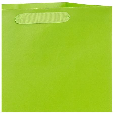 Hallmark Gift Bag for Birthdays, Graduations, Baby Showers Lime Green