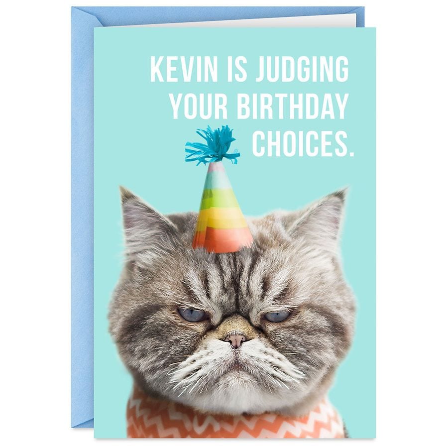Hallmark Funny Birthday Card (Choose Wisely Judging Cat in Party Hat