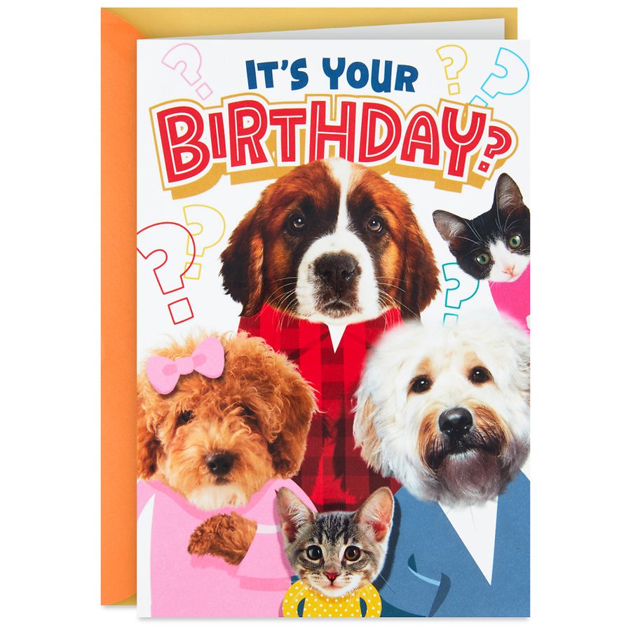 Hallmark Funny Pop-Up Birthday Card (Dogs and Cats Round of "Appaws") E15