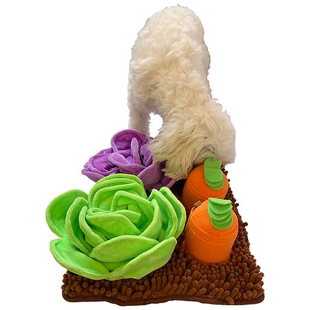 Monfince Turtle Snuffle Toys Squeaky Puzzle Toys Dog Birthday