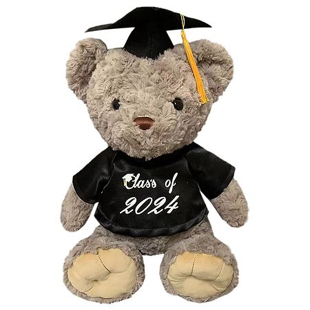 Modern Expressions Graduation Plush Bear