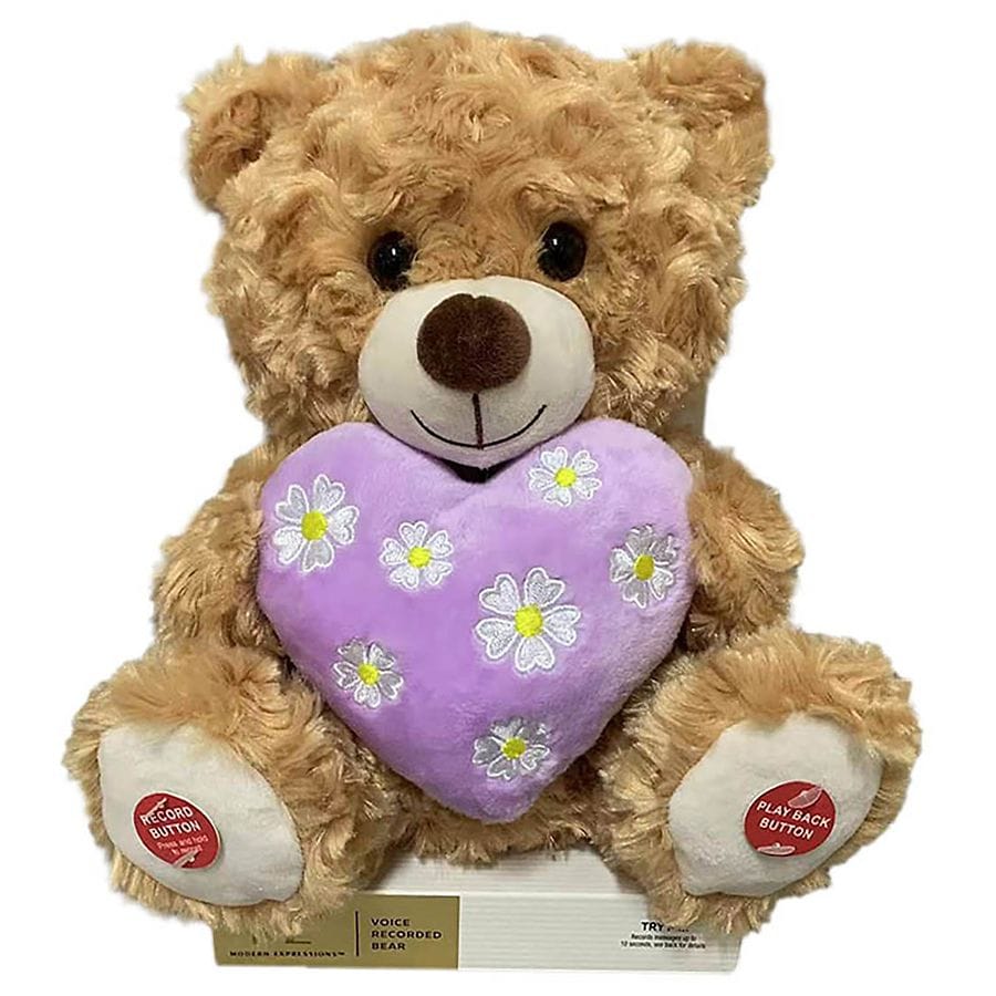 Modern Expressions Plush Bear with Voice Recording Feature