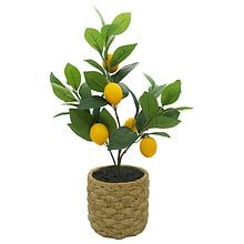 Festive Voice Natural Woven Lemon Tree Faux Greenery | Walgreens