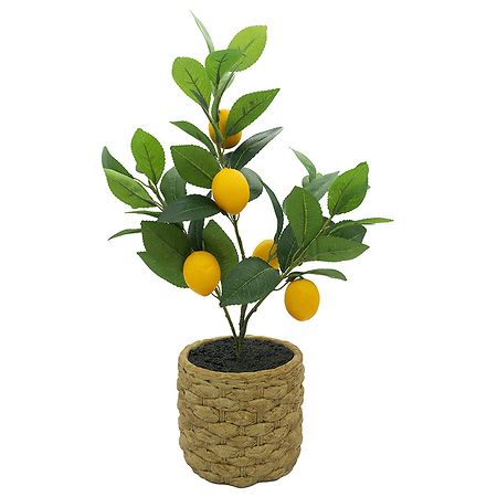 Festive Voice Natural Woven Lemon Tree Faux Greenery