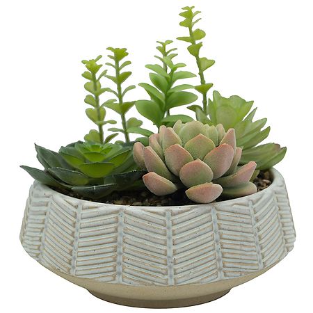 Festive Voice Stone Succulent Planter Faux Greenery | Walgreens