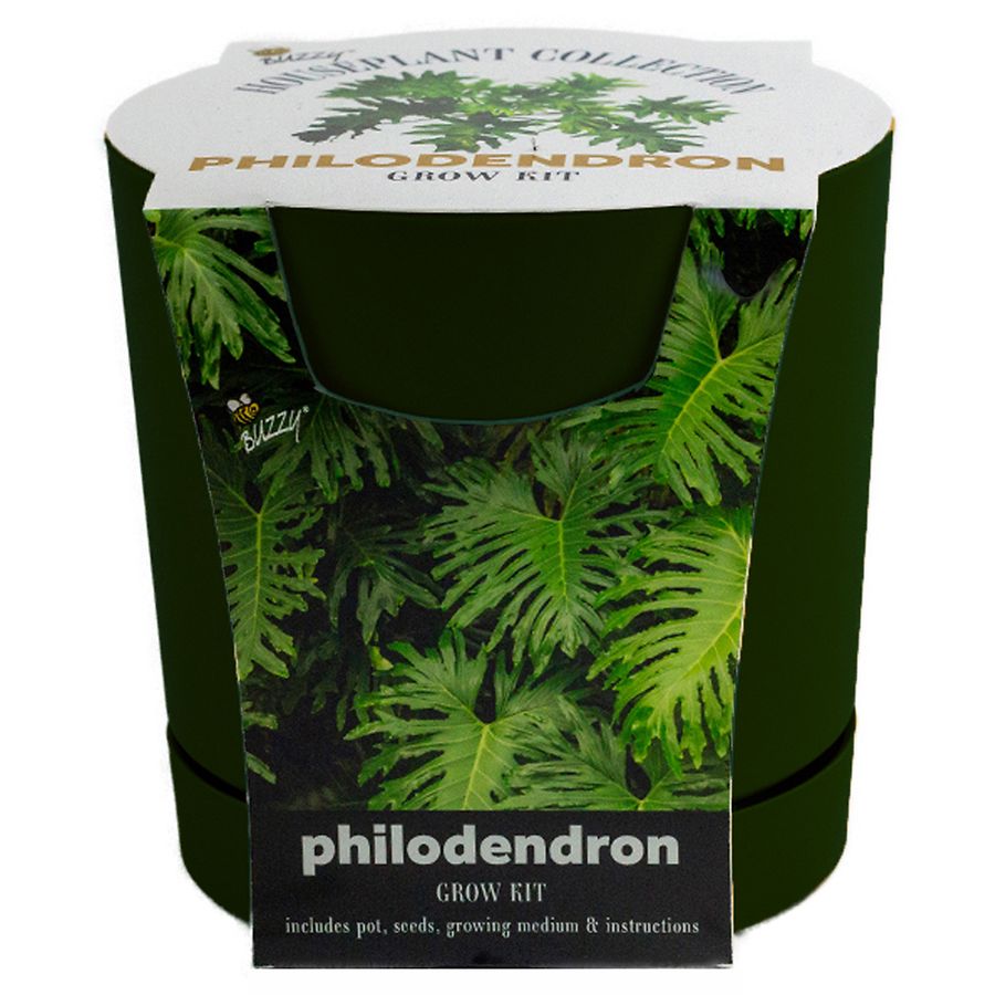 Buzzy Houseplant Grow Kit Philodendron, Green Walgreens