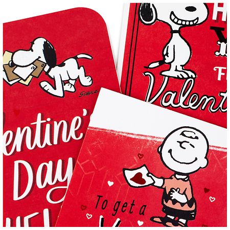 Hallmark Peanuts Valentines Day Cards - Snoopy and Charlie
