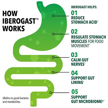 Iberogast Dual Action Digestive Relief Daily Herbal Supplement