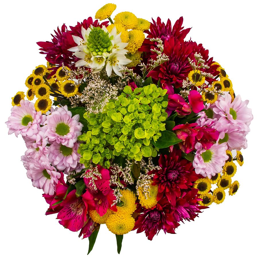 Falcon Farms Easter Vase 50 cm Assorted Walgreens