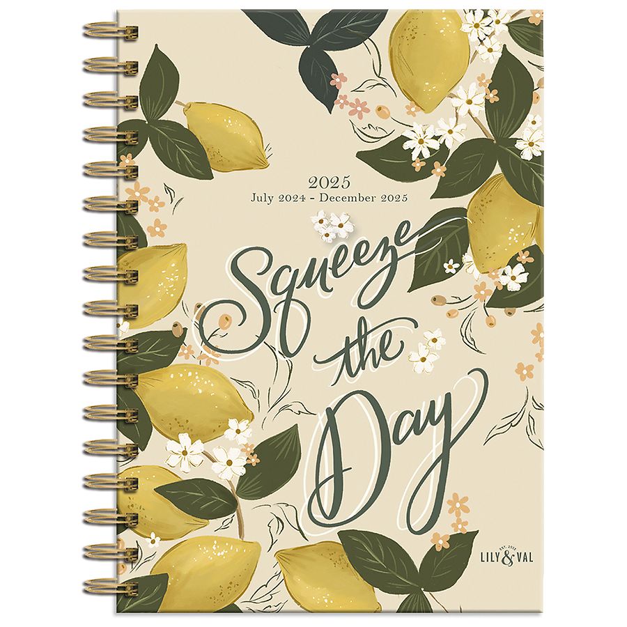 Wells Street by Lang 2025 Planner, 18Month Walgreens