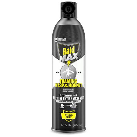 Raid Max Foaming Wasp & Hornet Killer
