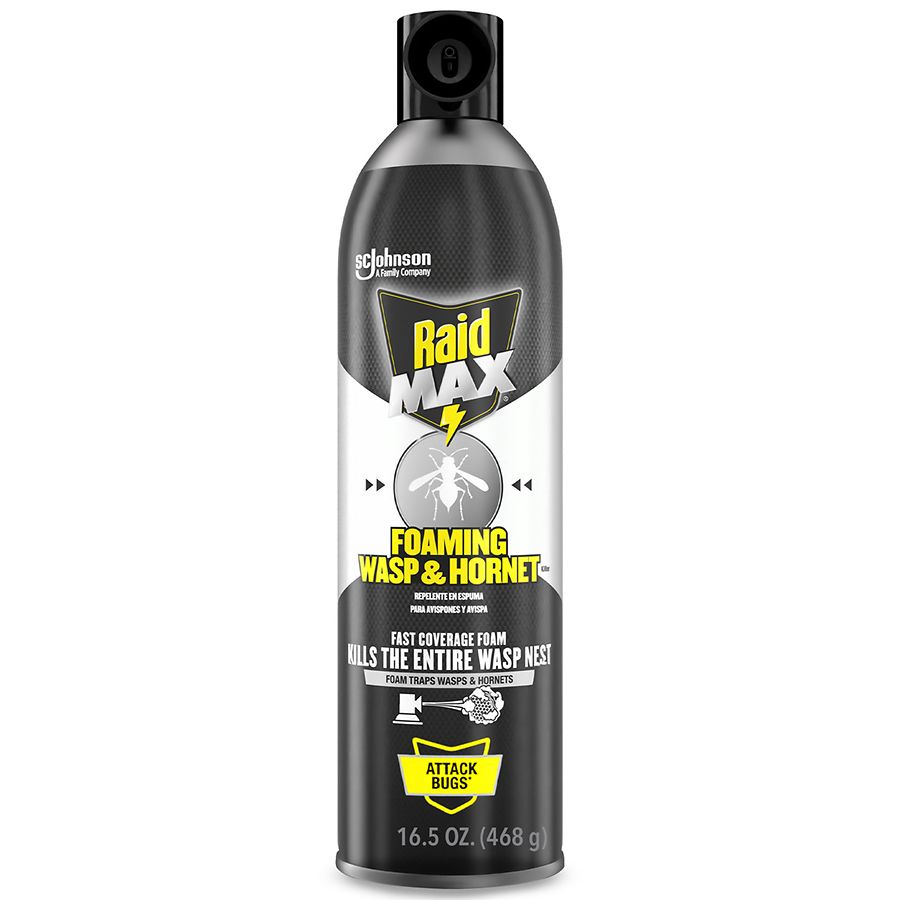 Raid Max Foaming Wasp & Killer Walgreens
