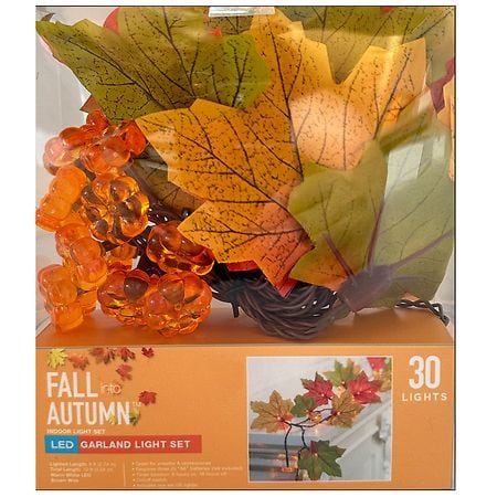 Fall into Autumn LED Garland Light Set