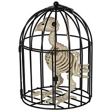 Festive Voice Happy Halloween Bird Skeleton | Walgreens