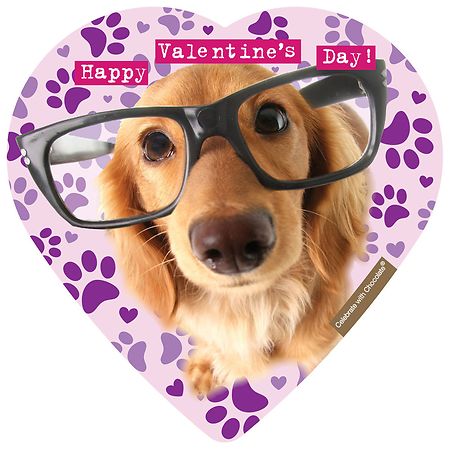 Elmers Pet Assorted Chocolates Heart