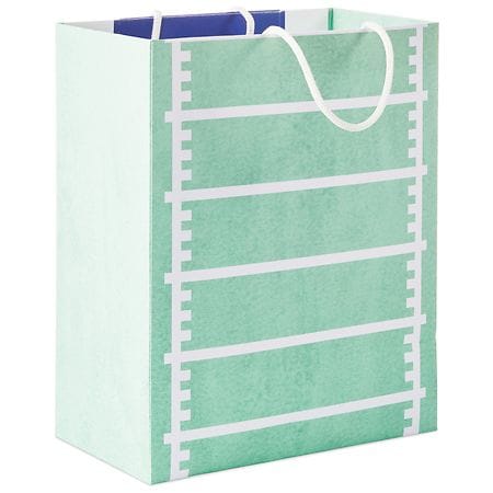 Hallmark Father's Day Gift Bag (All Star Dad)