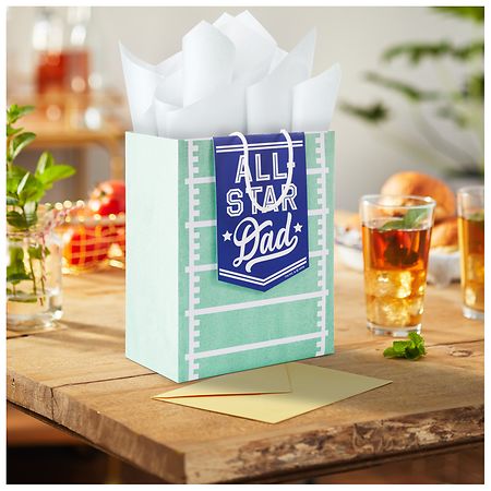 Hallmark Father's Day Gift Bag (All Star Dad)
