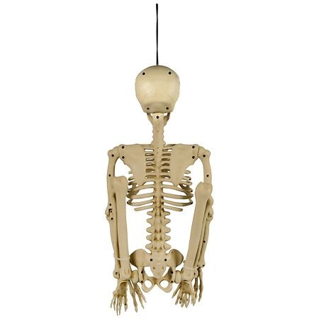 【限定】Hatsutorin FUNNFUNN #43 Skeleton-03 Hatsutorin （ハツトリン）公式サイト - FUNNFUNN