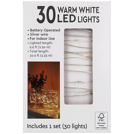 Festive Voice LED Lights 30 Warm White, Silver Wire