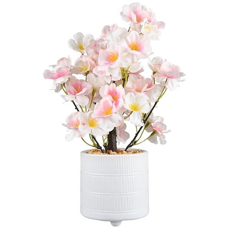 Festive Voice Cherry Blossom Tree