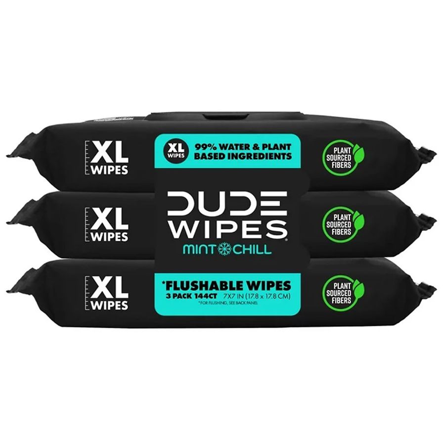 Dude Wipes Flushable Wipes Mint Chill, XL