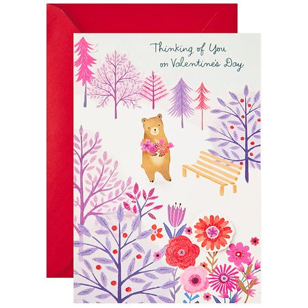 Hallmark Paper Wonder Pop Up Valentine's Day Card for Anyone, S7