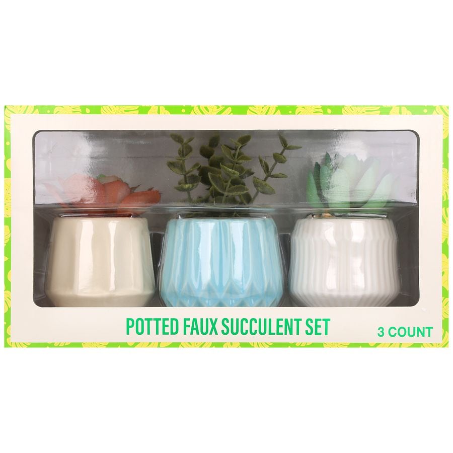 Festive Voice Potted Faux Succulent Set Assorted | Walgreens