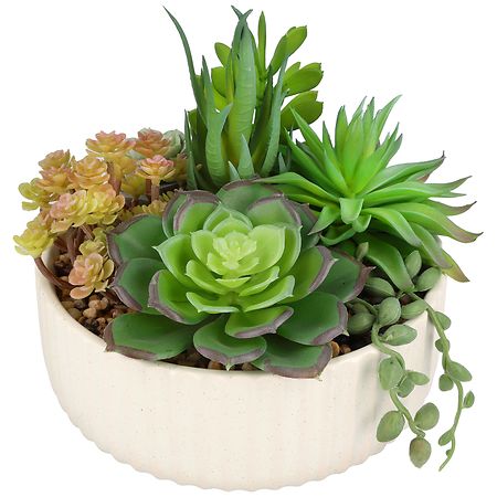Festive Voice Faux Plant, Succulent | Walgreens