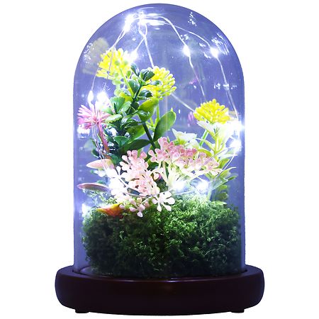 Festive Voice Dome Plant | Walgreens