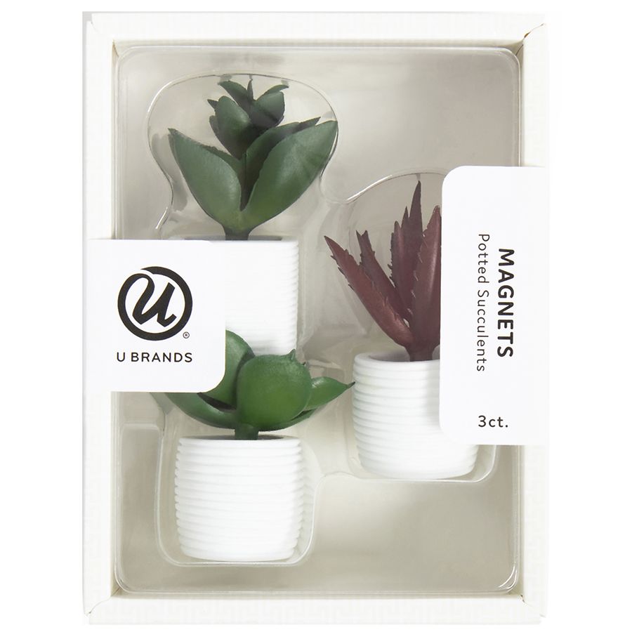U Brands Succulent Magnets