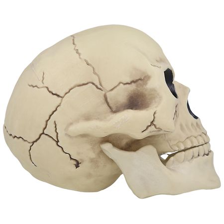 Festive Voice Skull Head | Walgreens
