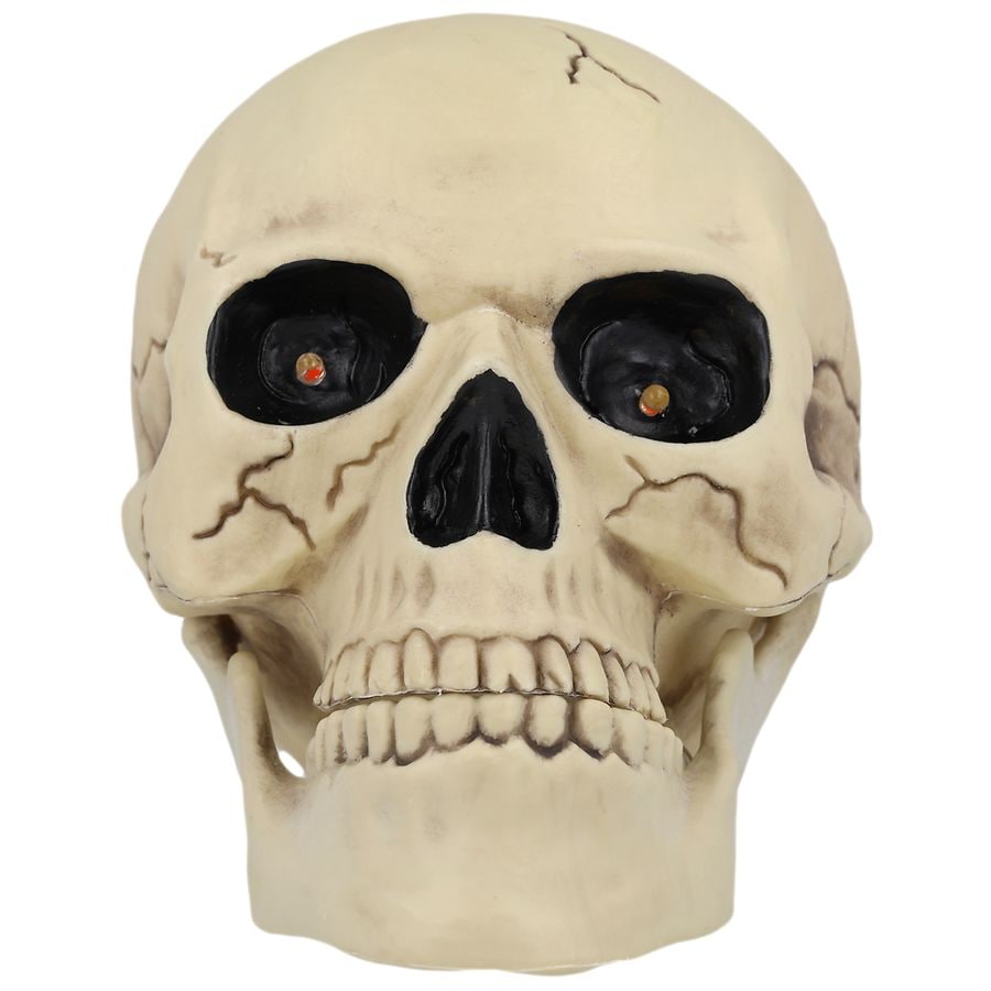 Skullhead Face [DVD](中古品) Festive Voice Skull Head | Walgreens