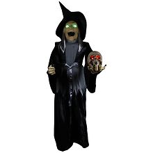 小物入れ Animated witch Festive Voice Animated Witch 5 ft | Walgreens