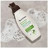 Aveeno Clear Complexion Foaming Facial Cleanser-9